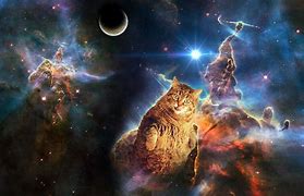 Image result for High Quality Cat Space Wallpaper