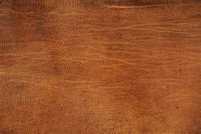 Image result for Tan Leather Texture