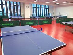 Image result for Table Tennis Room Garden