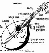 Image result for Mandolin String Notes