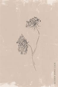 Image result for Mandolin Flowers
