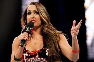 Image result for Nikki Bella WWE Smackdown