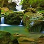 Image result for Nature Scenes with Water