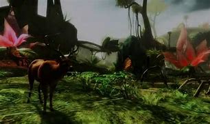 Image result for Guild Wars 2 Wildlife