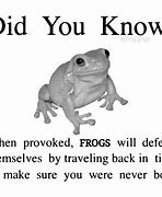 Image result for Green Frog Crying Meme