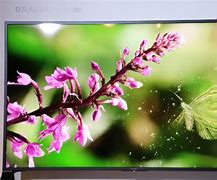 Image result for Sony Z9d