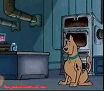 Image result for Shaggy Run GIF
