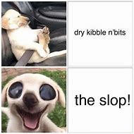 Image result for The Slop Dog Meme