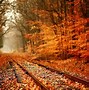 Image result for Fall 3D Wallpaper HD