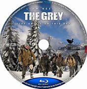 Image result for DVD Cover Grey