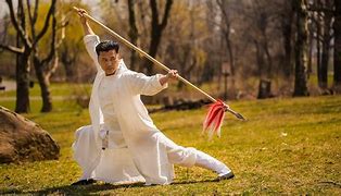 Image result for Chinese Martial Arts High Kick