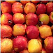 Image result for Lady Alice Apples