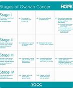 Image result for Staging of Ovarian Carcinoma
