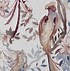 Image result for Blush Bird and Vine Wallpaper
