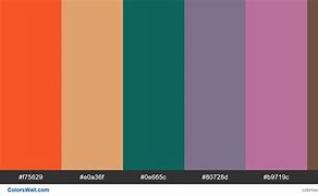 Image result for LCD Screen Colors