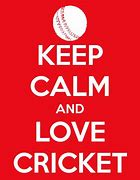 Image result for Cricket Love Quotes Mug