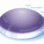Image result for Air Optical Contact Lenses
