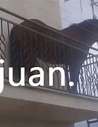 Image result for No Juan