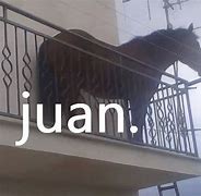 Image result for Ando Buscando a Juan Meme