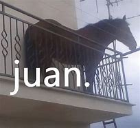 Image result for Nine Juan Juan