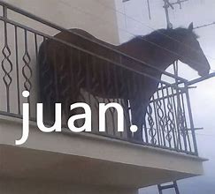 Image result for Logo Que Diga Juan