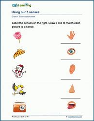 Image result for 5 Senses Worksheet for Grade 2
