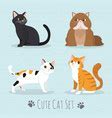 Image result for Wallpaper Cat Cute Design