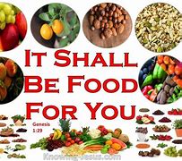 Image result for Bible Food for America
