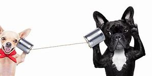Image result for Dog Talking On Phone