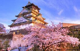 Image result for Osaka Famous Places