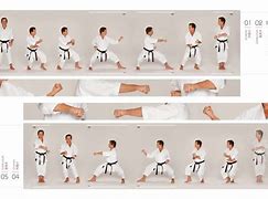 Image result for Karate 2nd Heian