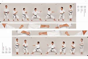 Image result for Shotokan Karate Kata Heian Godan