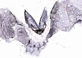 Image result for bats eyes painting