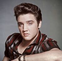 Image result for Elvis Presley Now