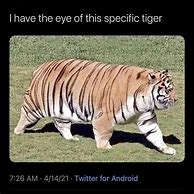 Image result for Easy Tiger Meme