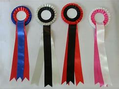 Image result for Horse Racing Ribbons