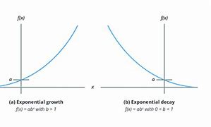 Image result for Exponential Growth and Decay Graphs