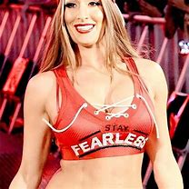 Image result for WWE Nikki Bella Fans