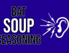 Image result for Fruit Bat Soup