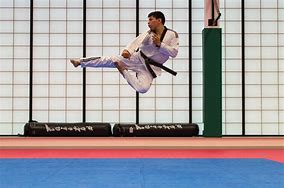 Image result for Japanese Exotic Karate