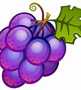 Image result for Canopy Grape