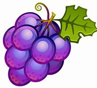 Image result for Cartoon Grapes Clip Art