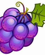 Image result for Grape Cluster Clip Art