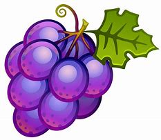 Image result for Grape Leaves Cartoon