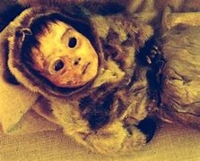 Image result for Inuit Mummies
