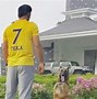 Image result for Dhoni IPL Cricket