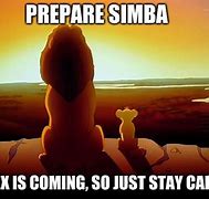 Image result for Simba Meme