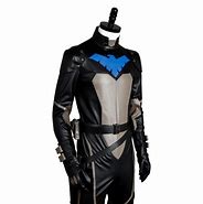 Image result for Young Justice Nightwing Costume