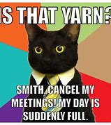 Image result for Business Cat Meme Friday