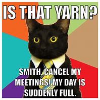 Image result for Work Office Cat Meme